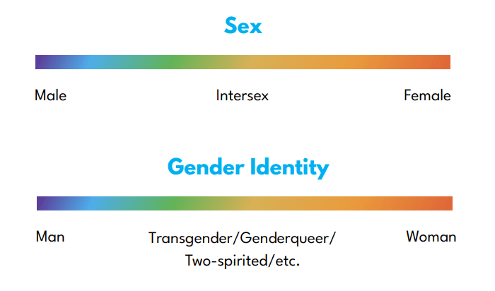 Sex and Gender Identity