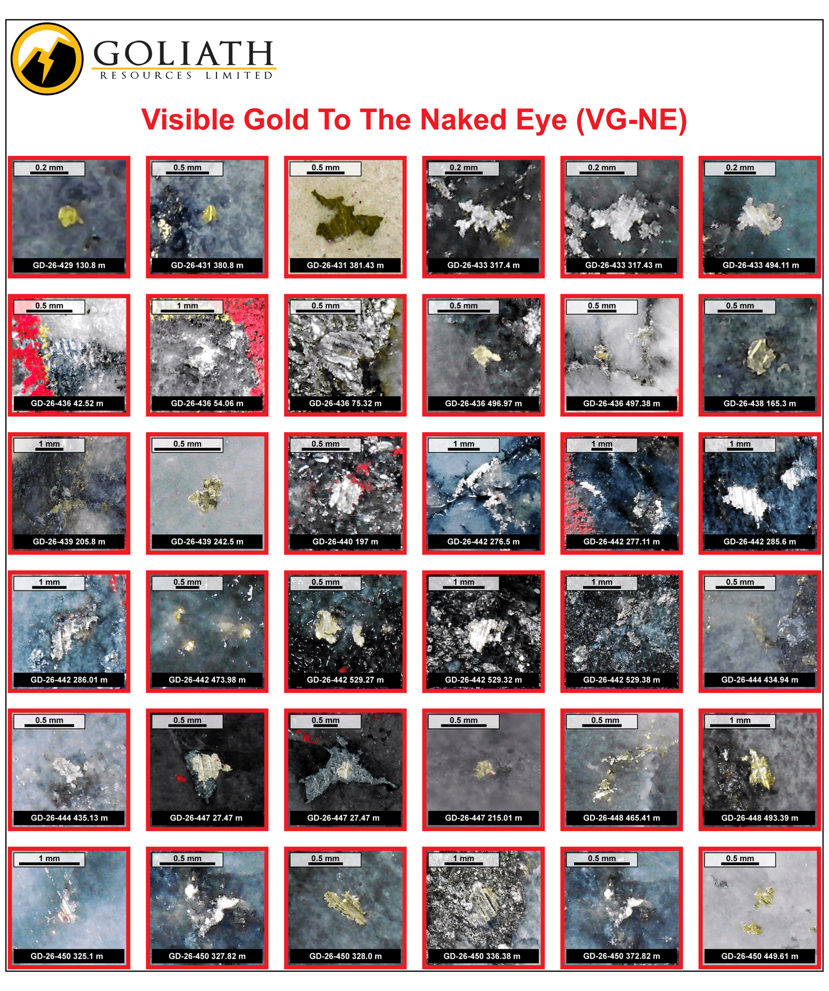 Figure 1b VG-NE
