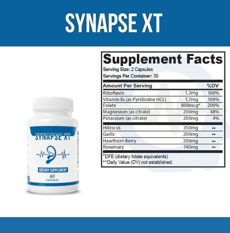 Synapse XT 