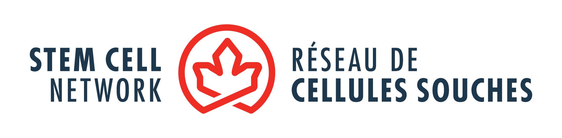 Le Réseau de cellule