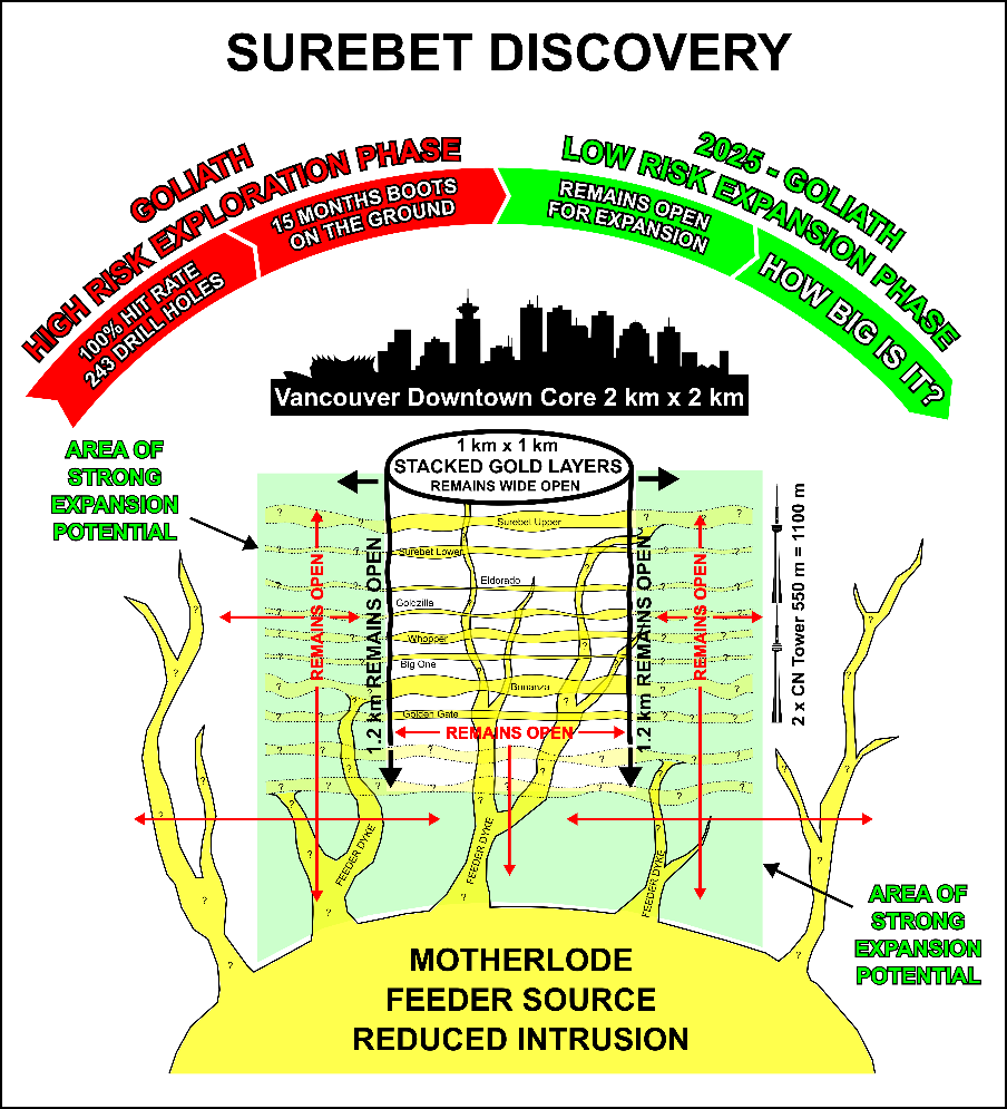 Infographic 1