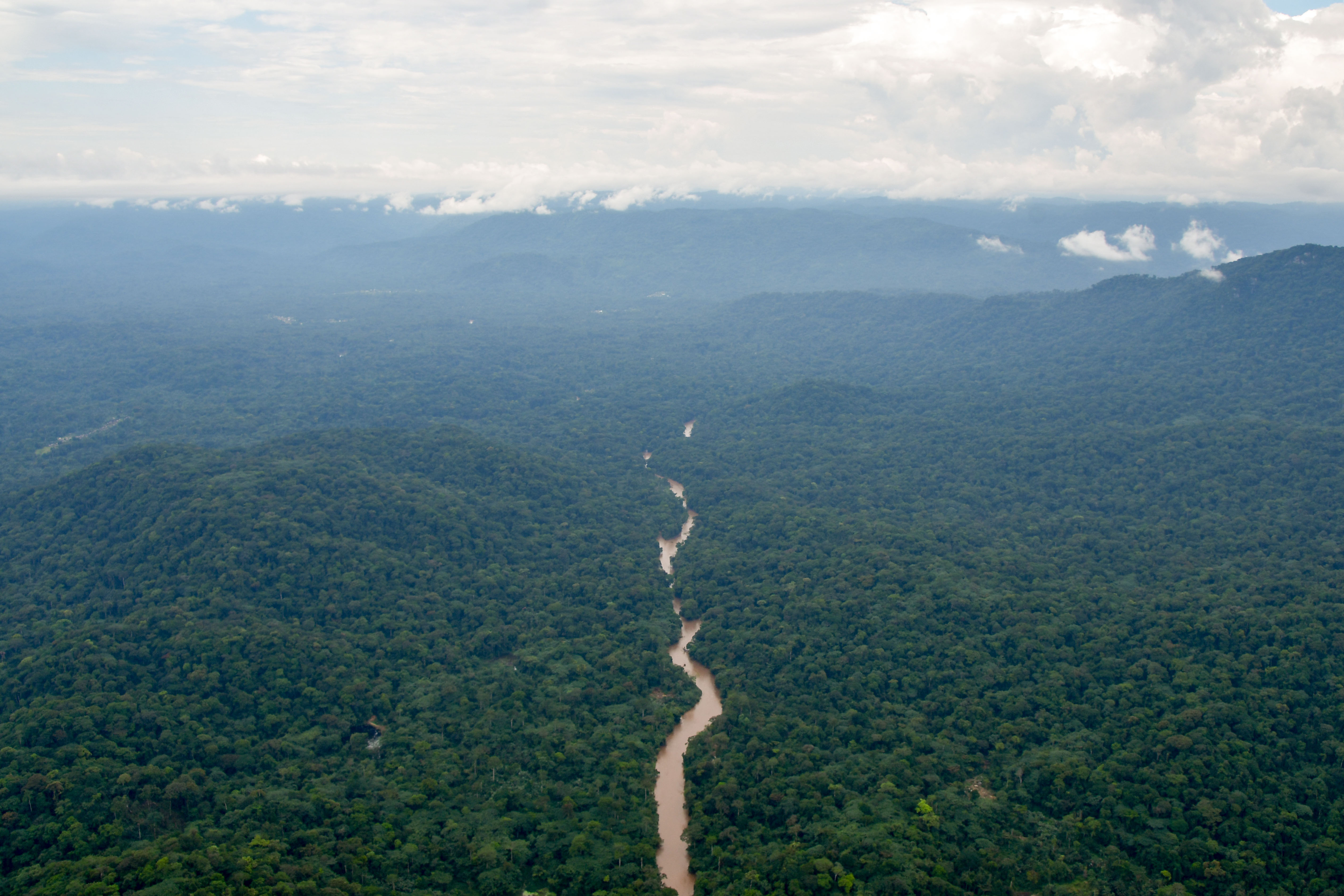 Fossey Fund Expands Congo Forest Protection to 2,400 Square Kilometers