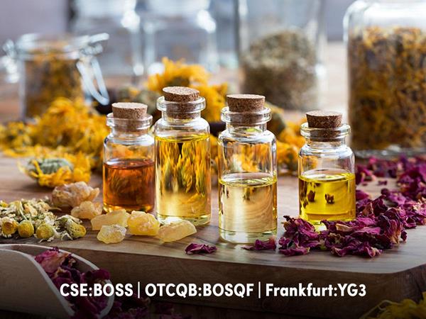 Yield Growth Announces New Line of Essential Oil Perfumes