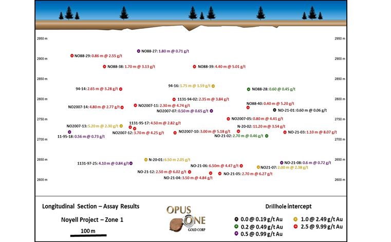 Longitudinal Section - Assay Results