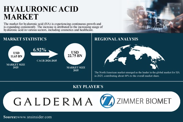 Hyaluronic Acid Market Size