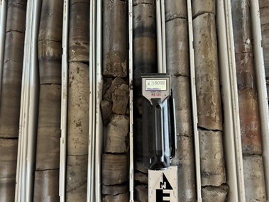 Figure 2 image