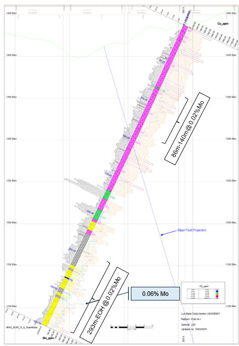 Western Metallica Resources Corp. -3