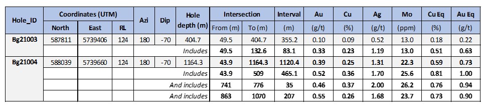 Summary table for holes Bg21003 and Bg21004