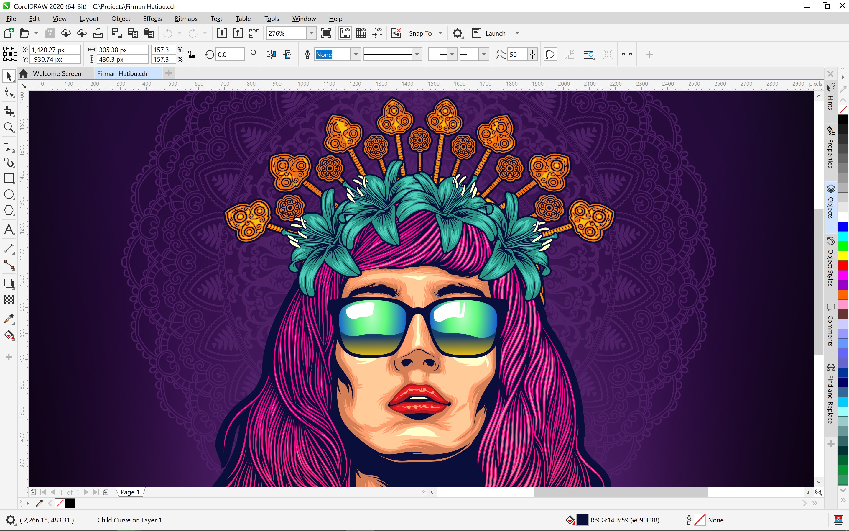 CorelDRAW Graphics Suite 2020 for Windows