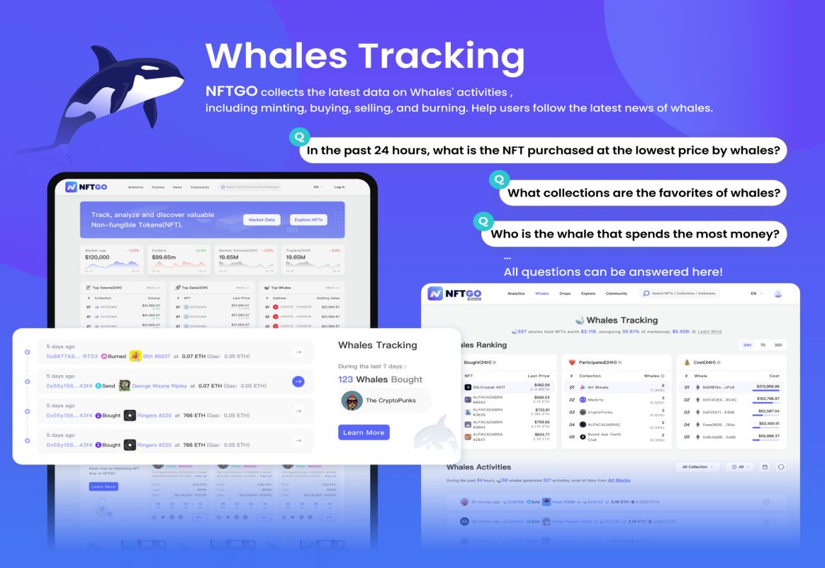 Leading NFT Data Provider NFTGO Launches its New Major Feature-Whales Tracking 1