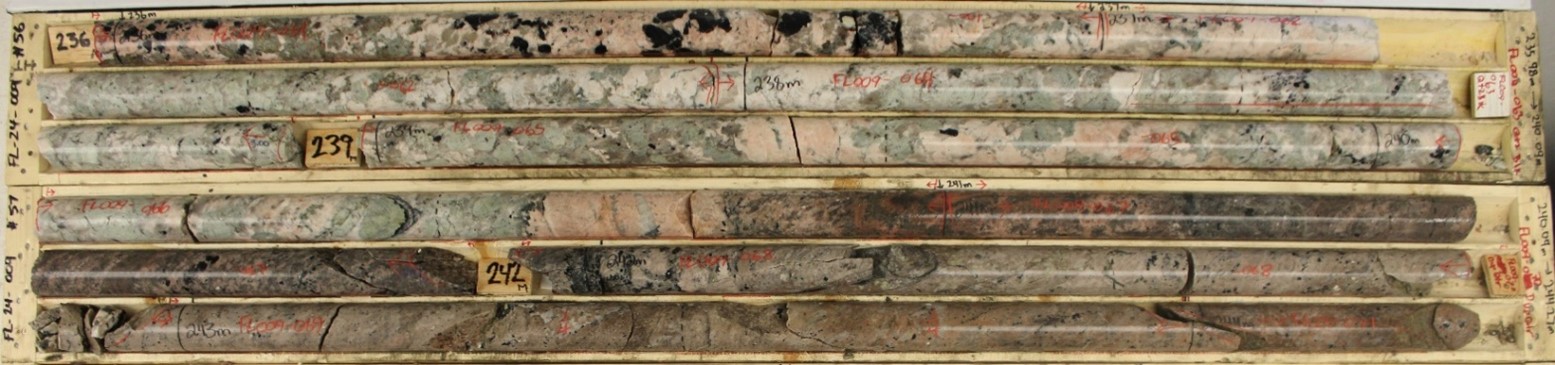 Spodumene Pegmatite from FL24-009. Approximately <percent>1.52%</percent> Li2O over interval (235.98 m – 241.00 m)