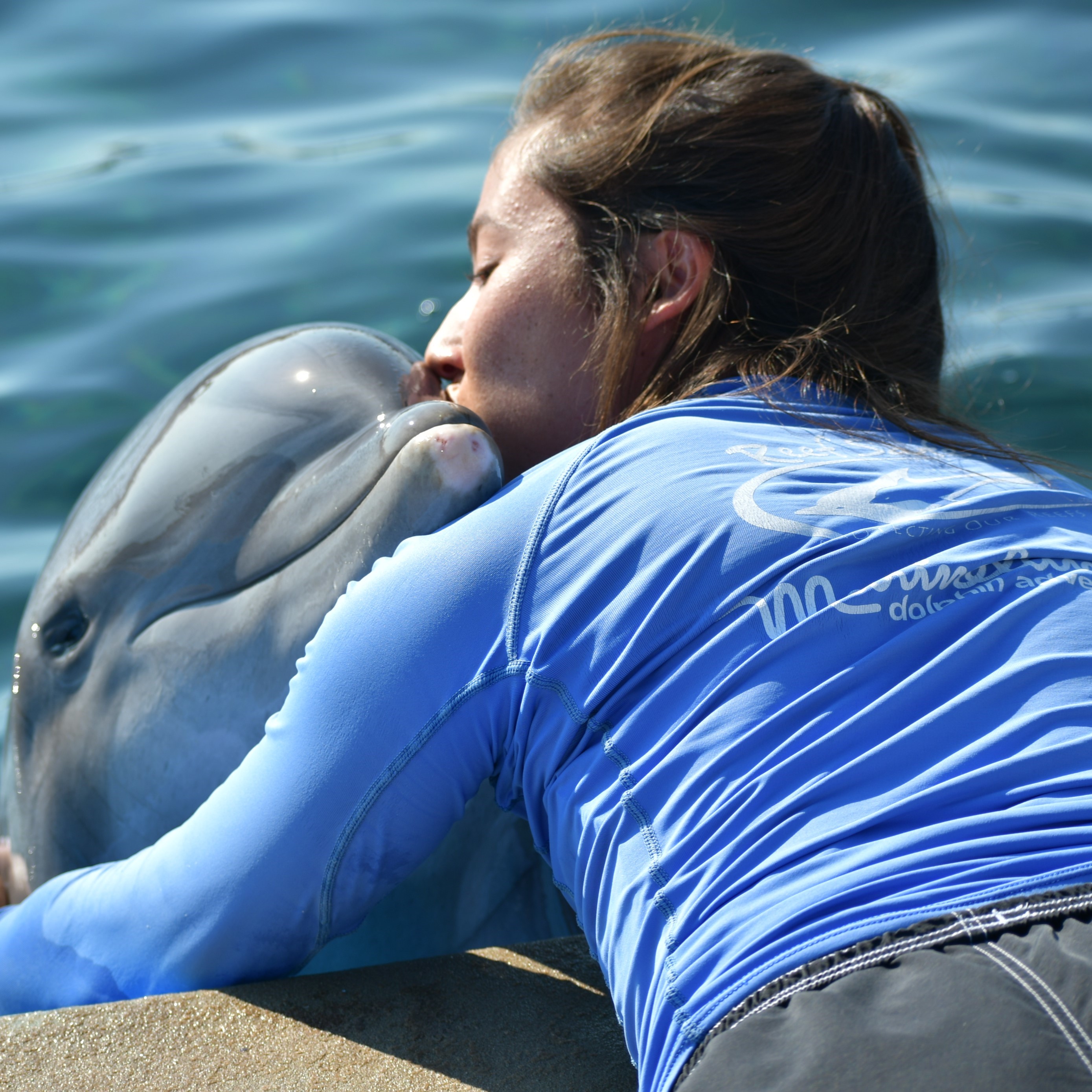 Marineland Dolphin Adventure