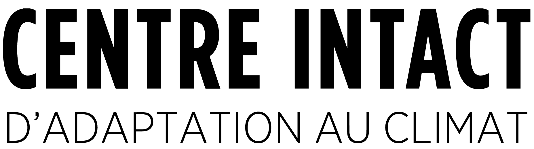 ICCA_FR_logo in black-01 (1).png