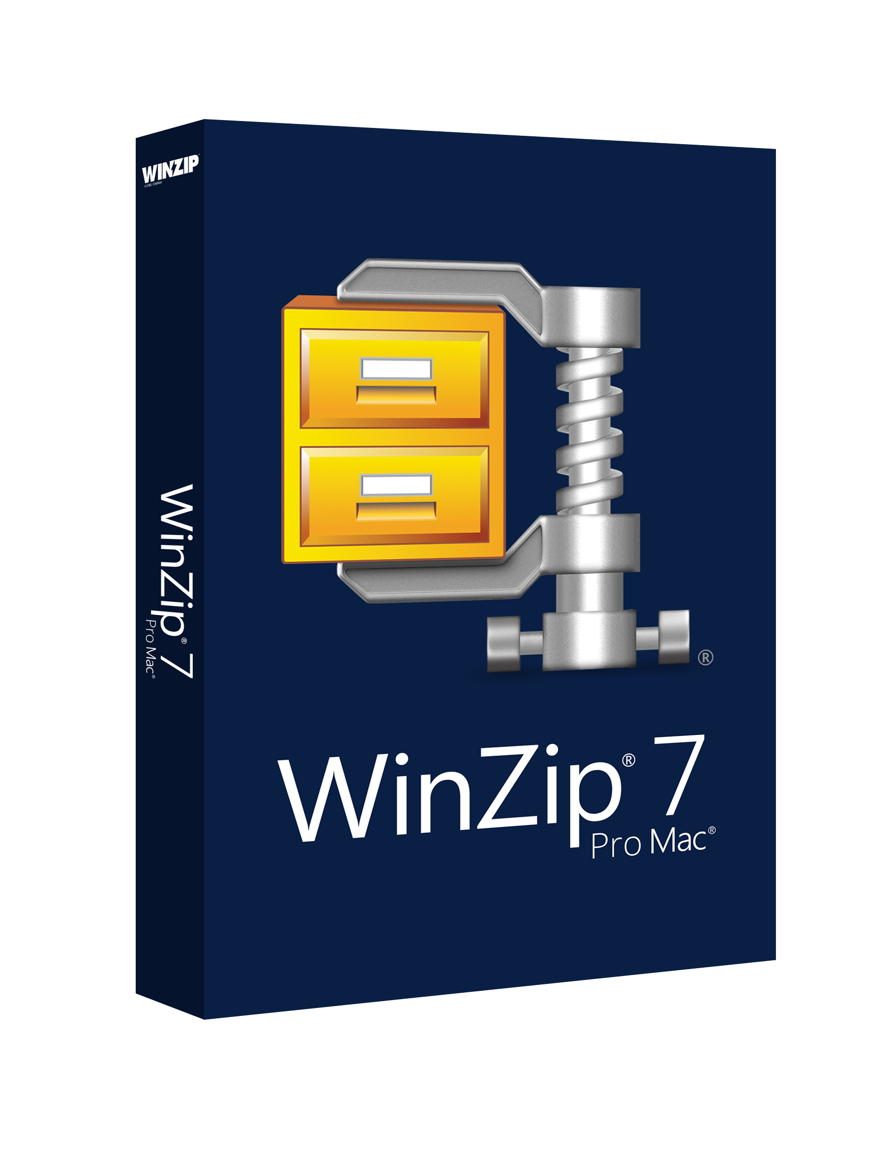 Winzip pro что это