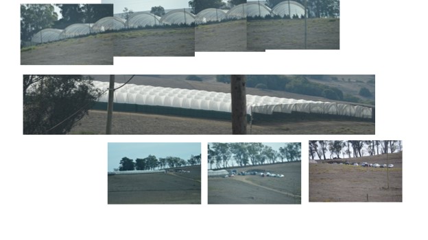 Scale of multi-tenant farms that are avoiding CEQA