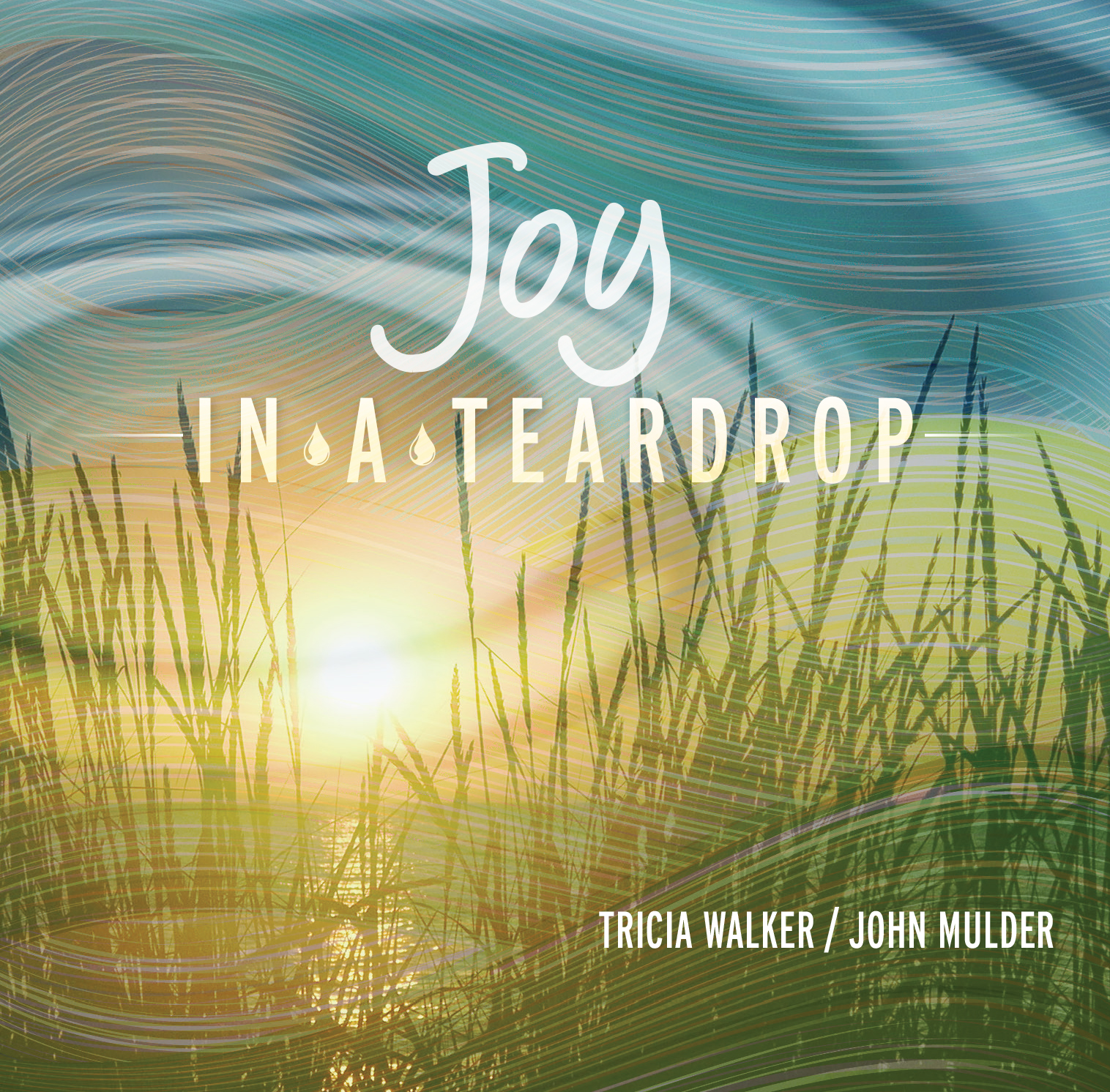 Spurred on by the hospice community’s positive response to Joy in a Teardrop, NHPCO is launching a  new program, "Joy in a Teardrop: The Hospice Music Project," which will result in a full album of songs that reflect the experience of hospice professionals in the work that they do 