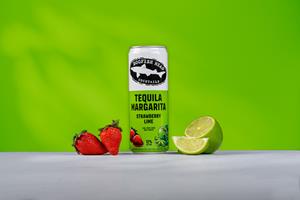 NEW Dogfish Head Strawberry Lime Tequila Margarita