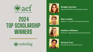 2024 AEF Top Scholarship Winners 