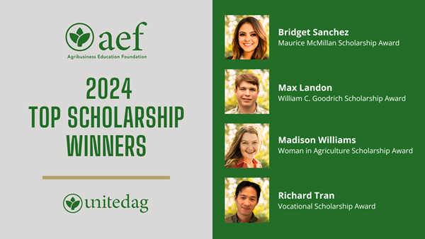 2024 AEF Top Scholarship Winners 
