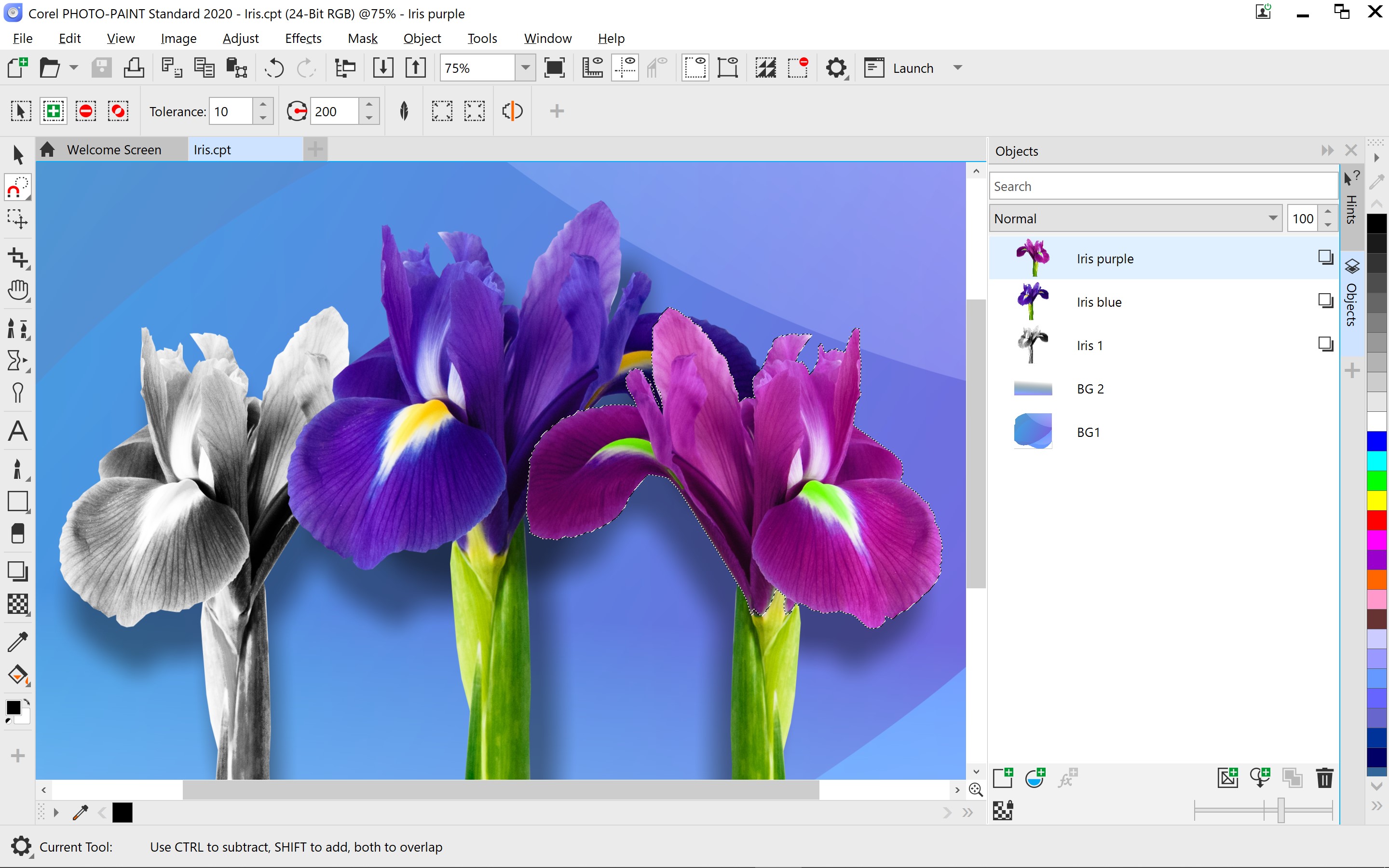 Paint 2023. Coreldraw Standard 2021. Дизайн корел. Corel photo Paint. Coreldraw дизайнеры.