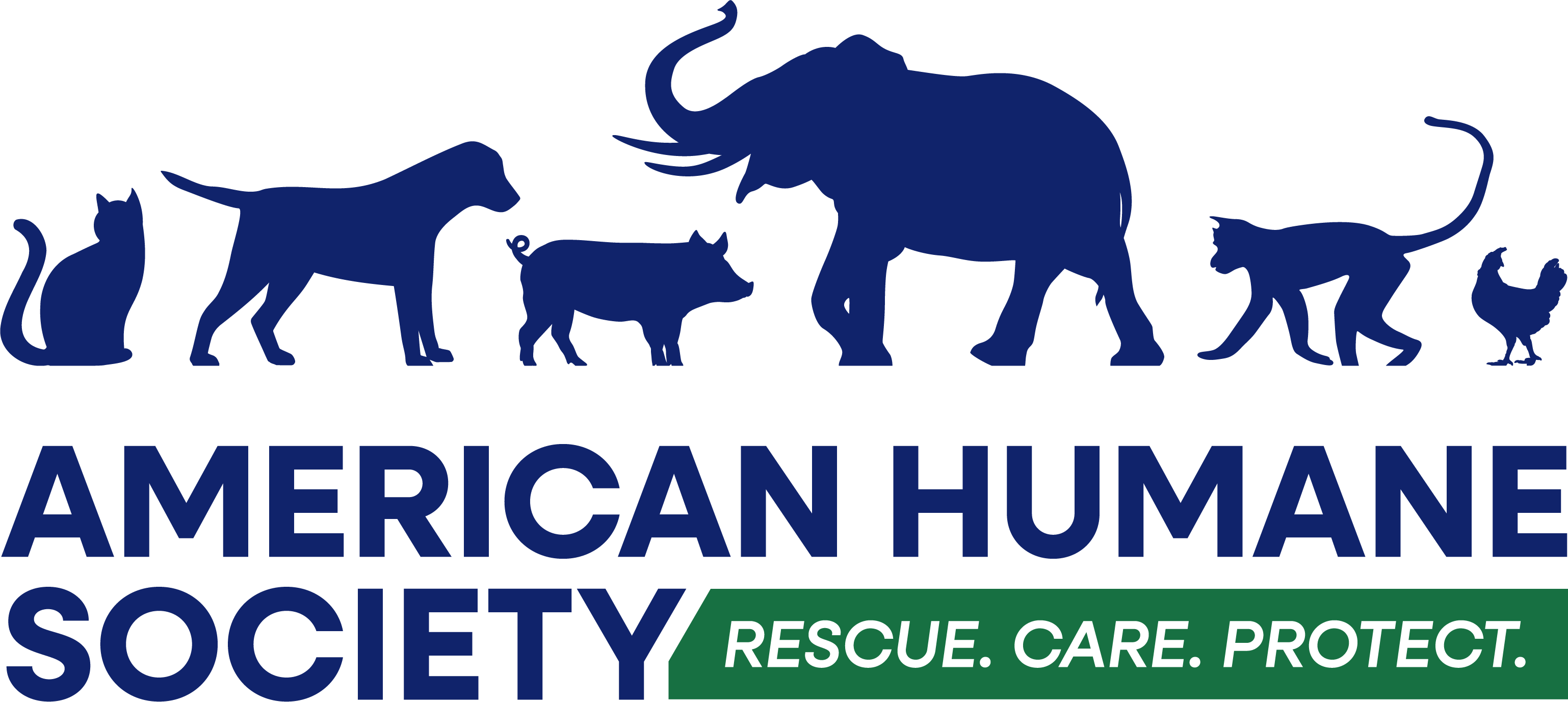 AHS_FullLogo (1).png