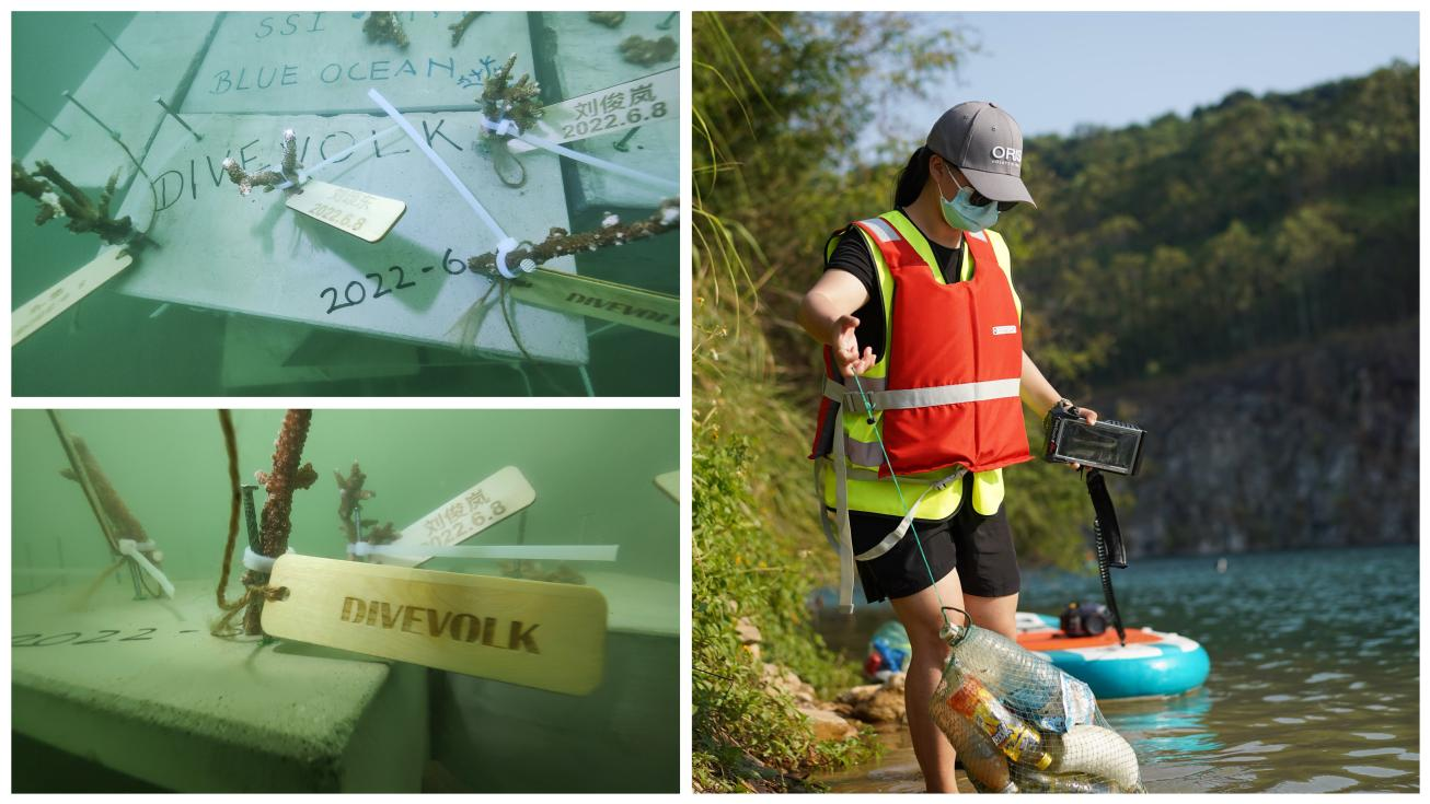 Coral nursery restoration project filmed with Xiaomi smartphone inside SeaTouch 4 Max housing