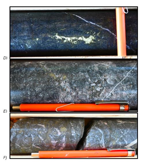 select core intervals from first hole showing chalcopyrite mineralization (D, E & F).