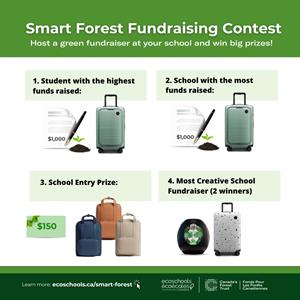 Smart Forest Fundraising Contest