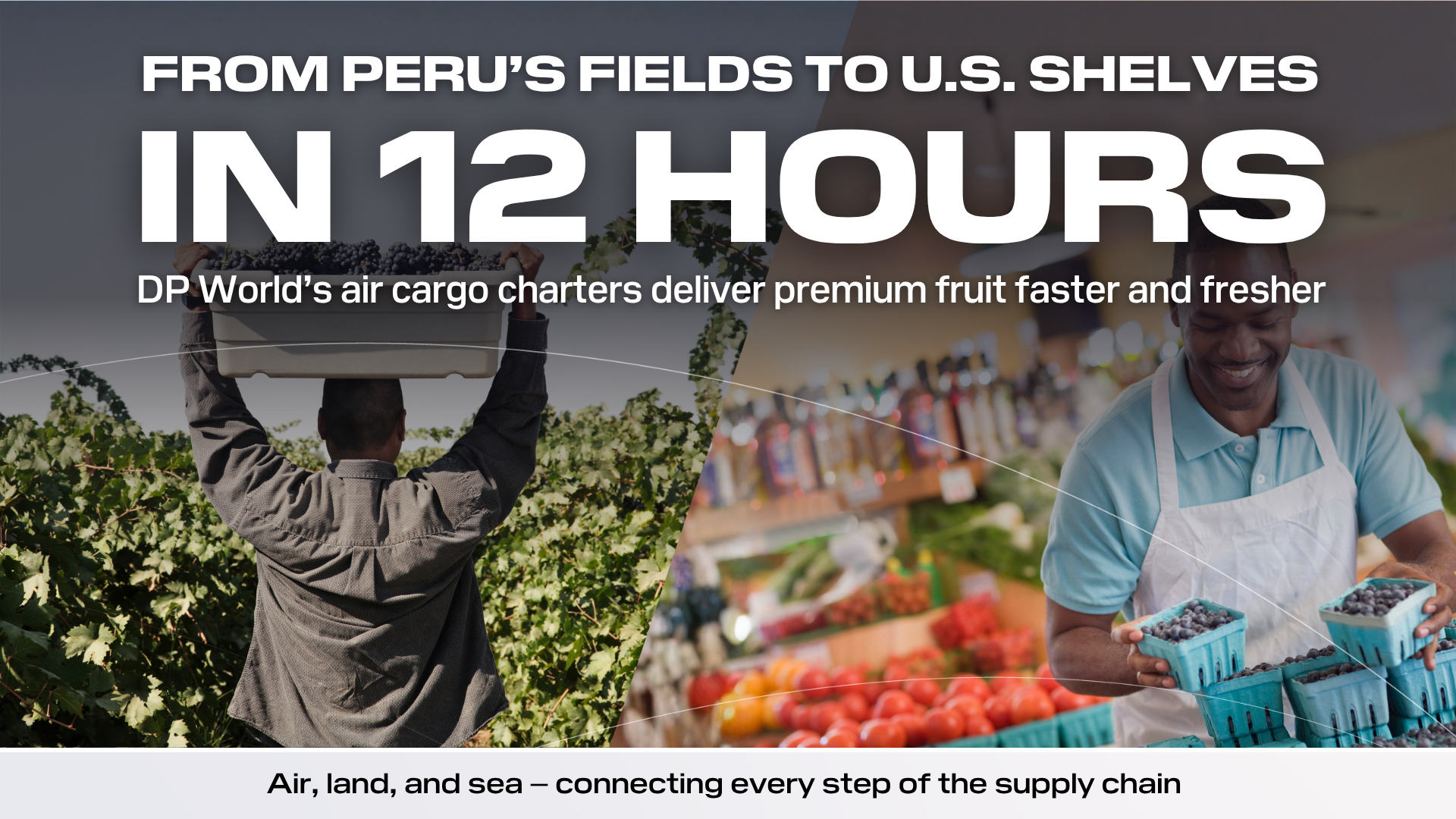 Graphic showing a farmer harvesting blueberries in Peru and a retailer stocking fresh fruit in the U.S., illustrating DP World’s capabilities.