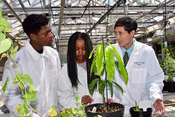 Morgan State University School of Computer, Mathematical and Natural Sciences Dean Hongtao Yu and students engage in horticultural research.