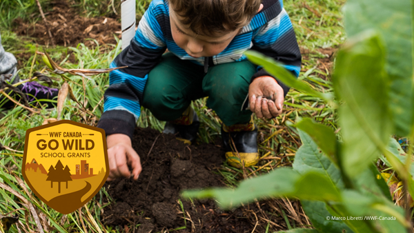 A young boy plants native trees with WWF-Canada © WWF-Canada/Marco Libretti