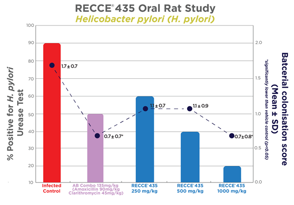 RECCE 435 Oral Rat Study