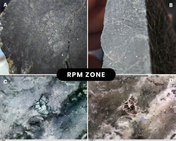 A) & B) Cut rock samples from separate areas within the new RPM Zone showing abundant grains of disseminated awaruite (nickel-alloy ~75% Ni) (no sulfur of sulfides present) within serpentinized ultramafic; C) Magnified grain of awaruite (Ni3Fe) in plane light; D) Magnified grain of awaruite (Ni3Fe) in negative color.