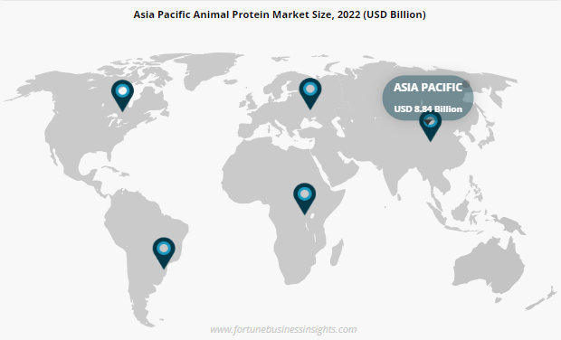 Animal Protein Market 