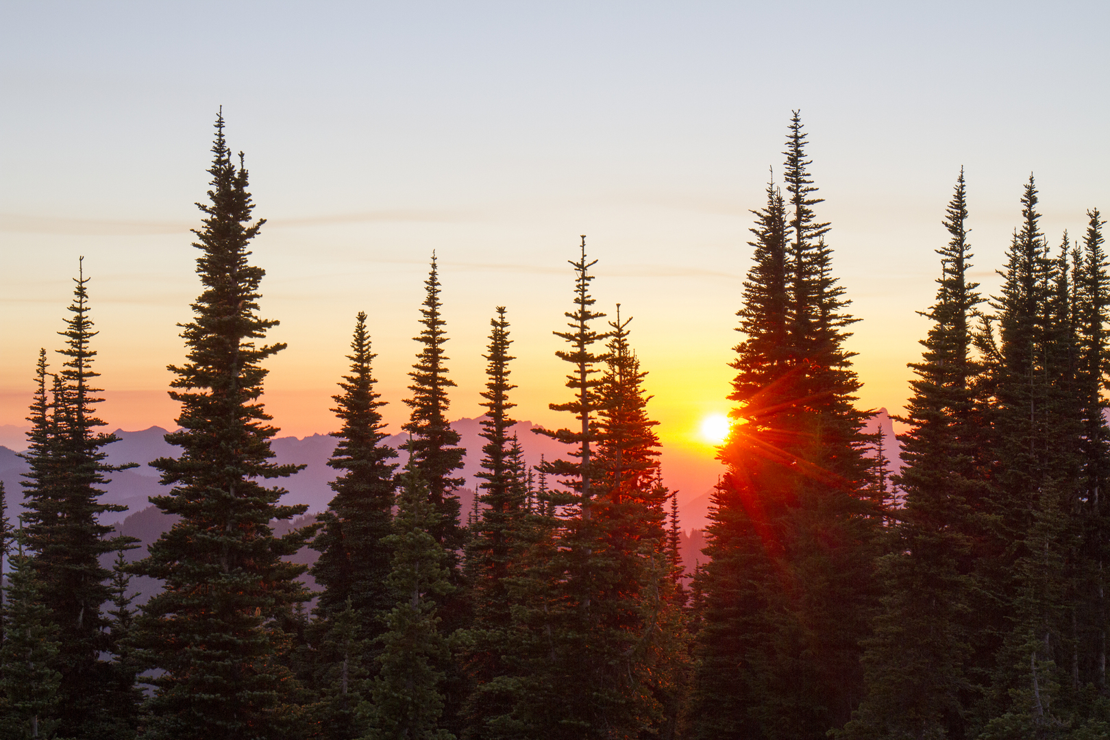 Forest plan. Pacific Northwest. Us Forest service.