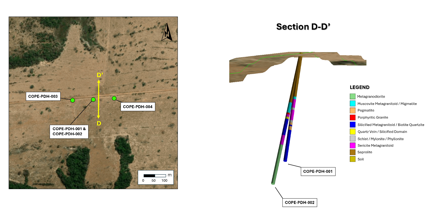 Figure 3 image
