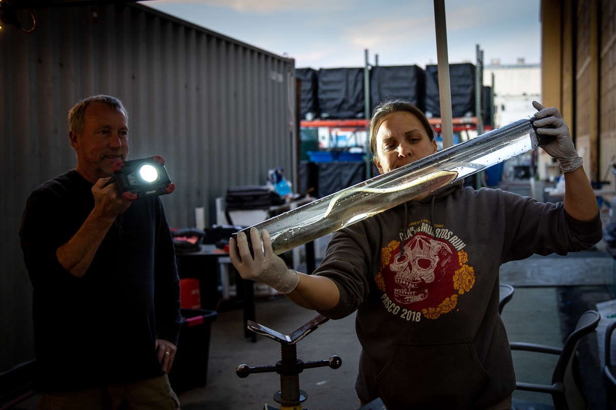 Researchers from Pacific Northwest National Laboratory validate eel safety after through-turbine passage.