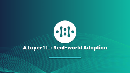 A Layer1 for Real-world Adoption