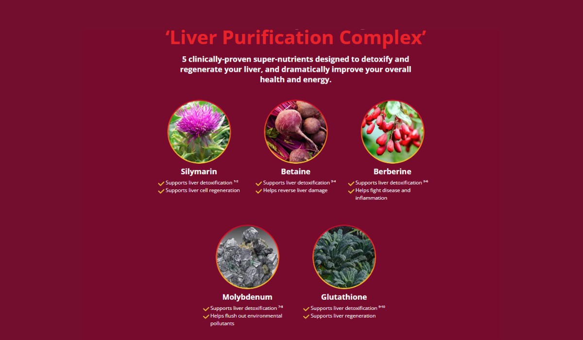 HepatoBurn Ingredients