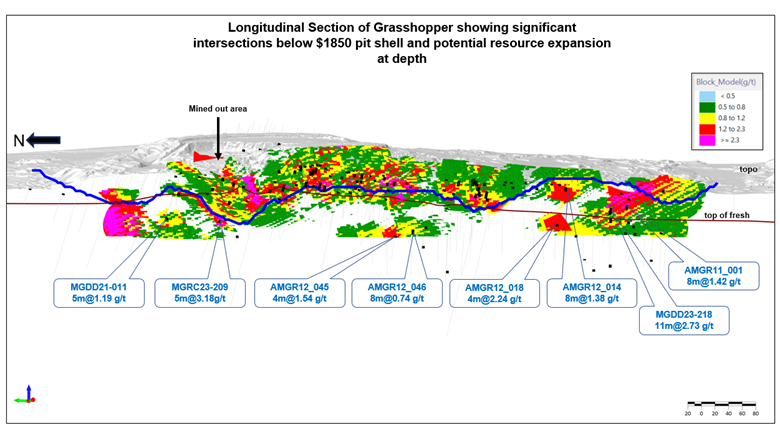 Longitudinal Section of Grasshopper showing resource blocks (above 0.5g/t), and selected drill intercepts indicating further resource expansion beyond the current pit design