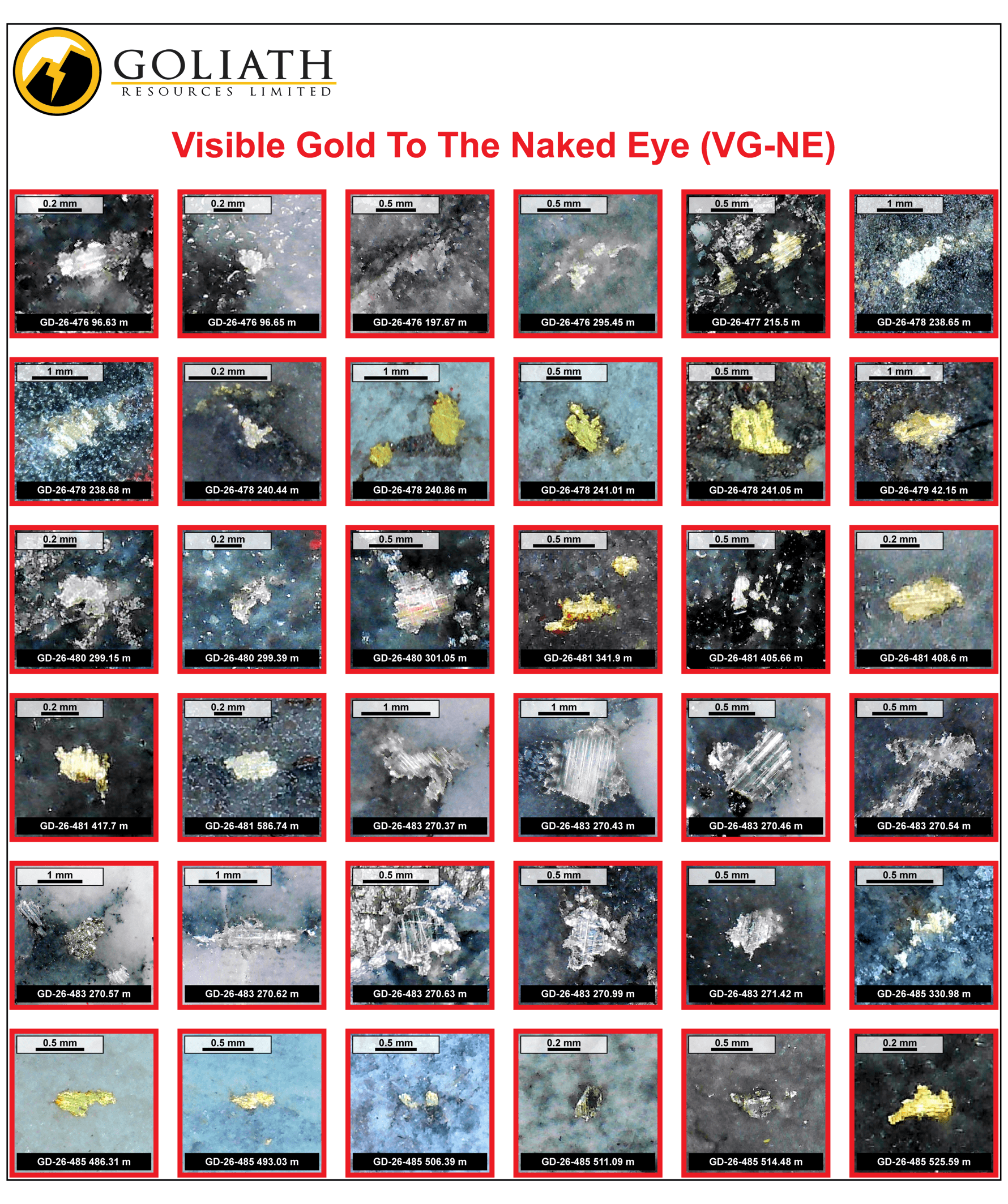 Figure 1e VG-NE