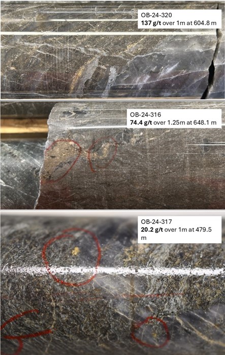 Or visible à une profondeur de 604.8 mètres dans le sondage OB-24-320 (haut), à une profondeur de 648.1 mètres de profondeur dans le sondage OB-24-316 (milieu) et 479.5 m de profondeur dans le sondage OB-24-317 (au bas)