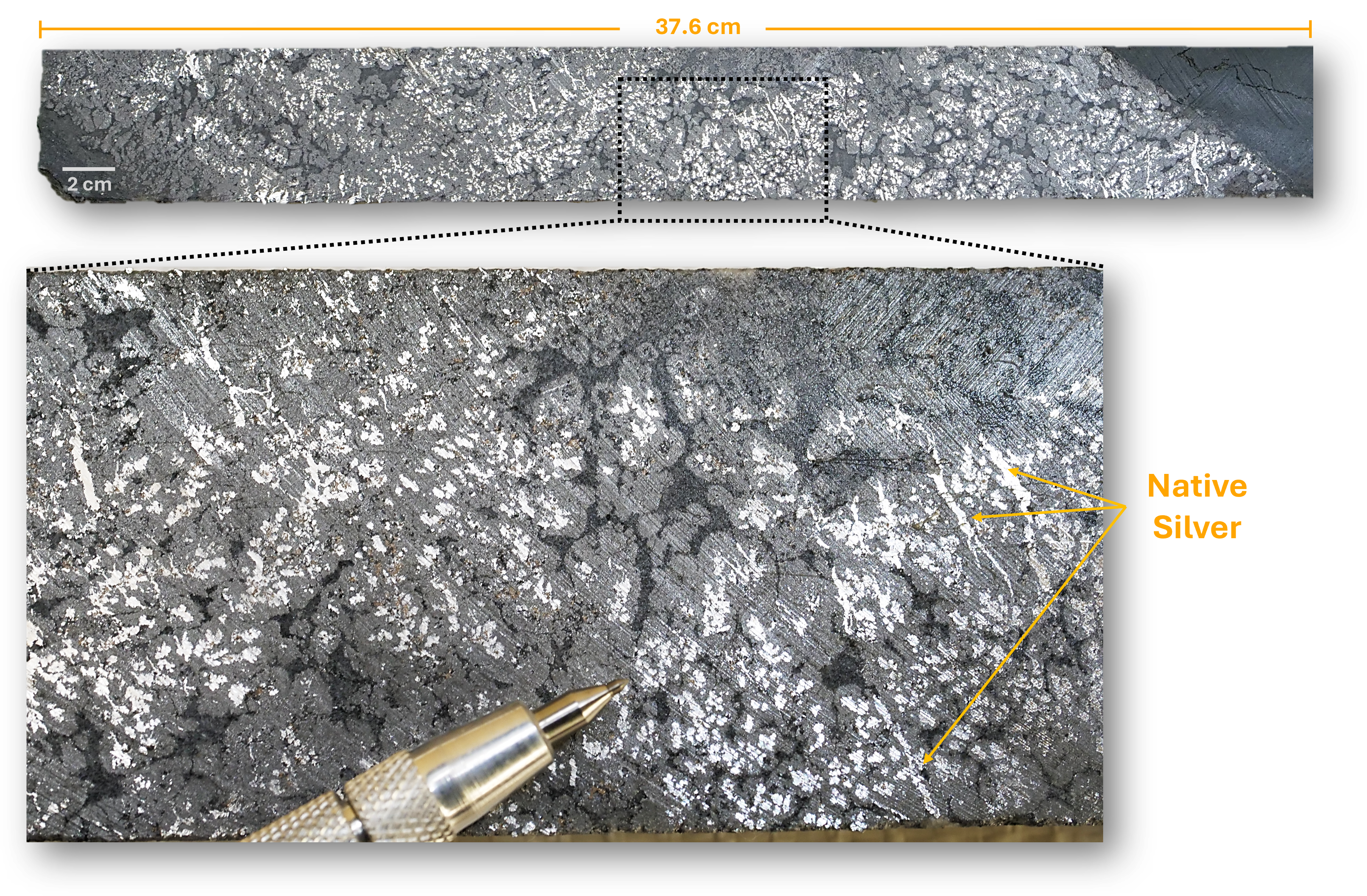 Figure 1 image