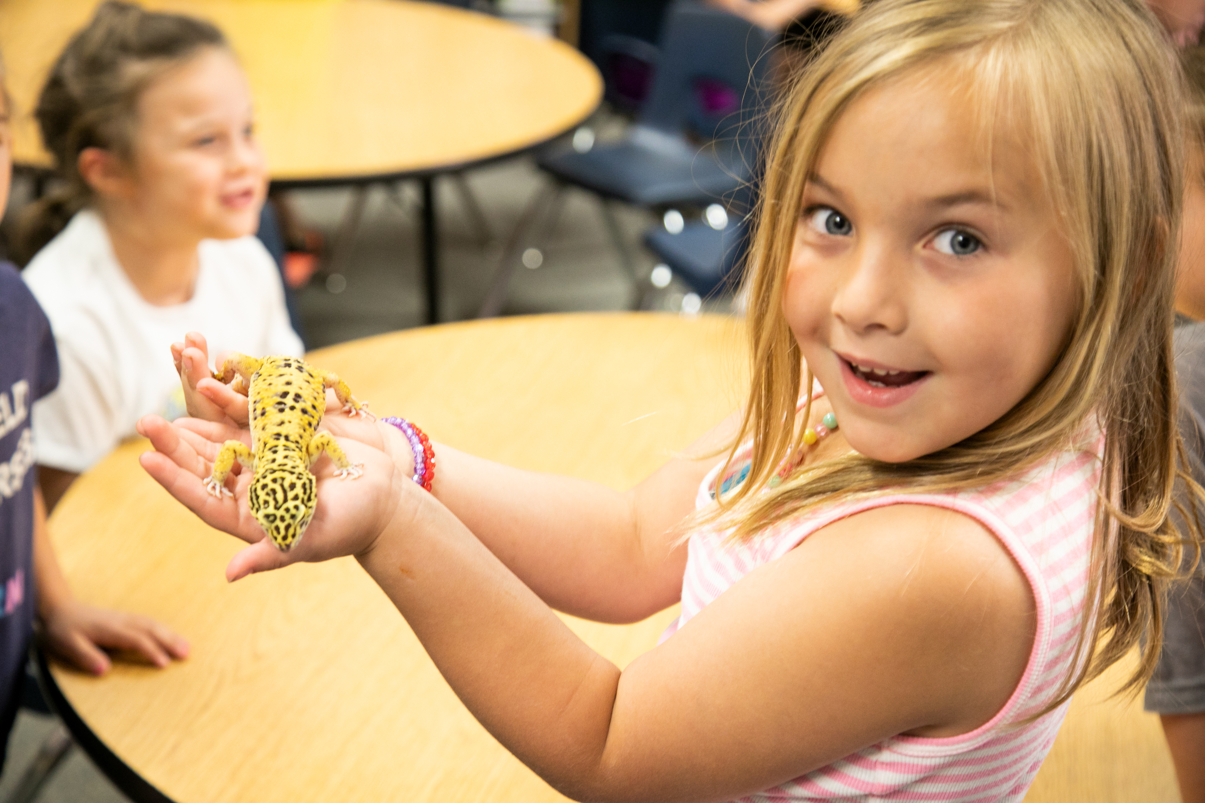 Classroom Pets are Providing Social and Emotional Support