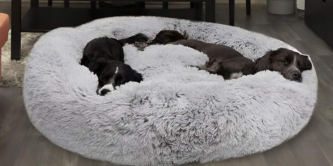 Image by MrFluffyFriend