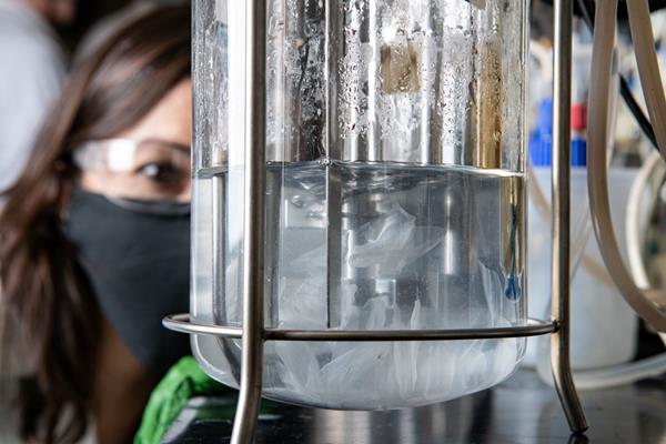 Researcher Dalvinia Salvachua Rodriguez observes visible changes in the bioreactors. In reactors loaded with less enzyme, liquid fraction appears unclouded and amorphous plastic remains transparent. In reactors loaded with more enzyme, liquid fraction is cloudy and plastic has become opaque. For the first time at large scale, researchers in the Beckham group test enzymatic degradation of PET plastic in bioreactors in their lab at the FTLB. (Photo by Dennis Schroeder / NREL)