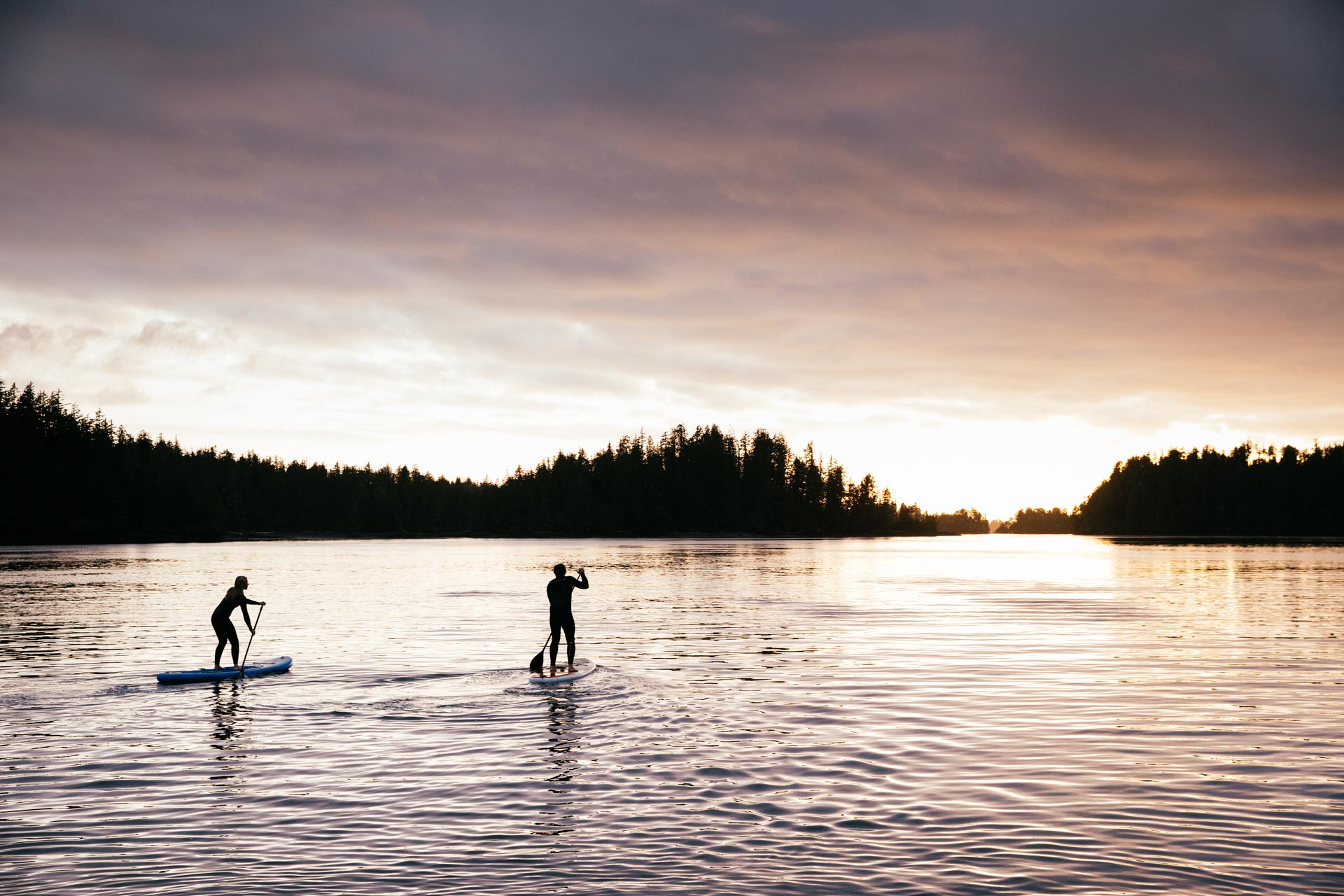 Coastal Wellness: Paddle Boarding on the Tofino Inlet