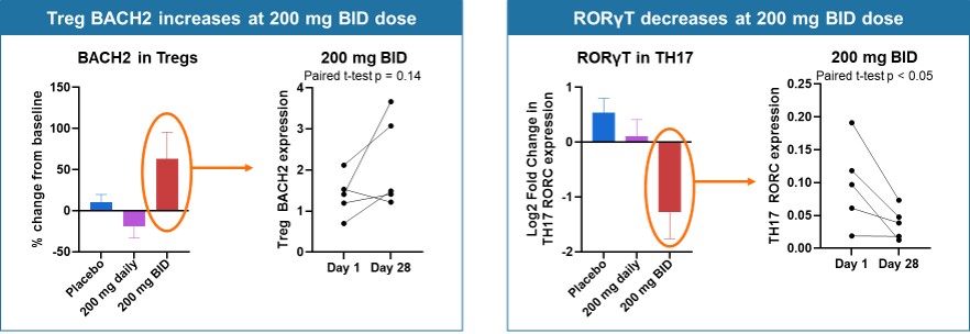 Figure 5b