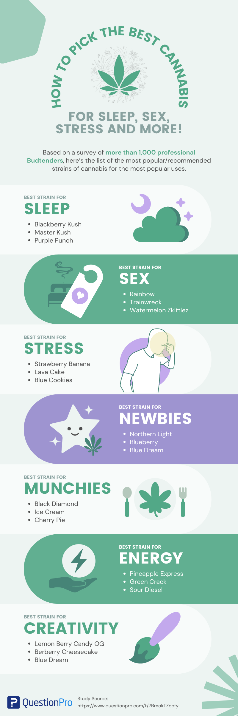 Cannabis Infographic