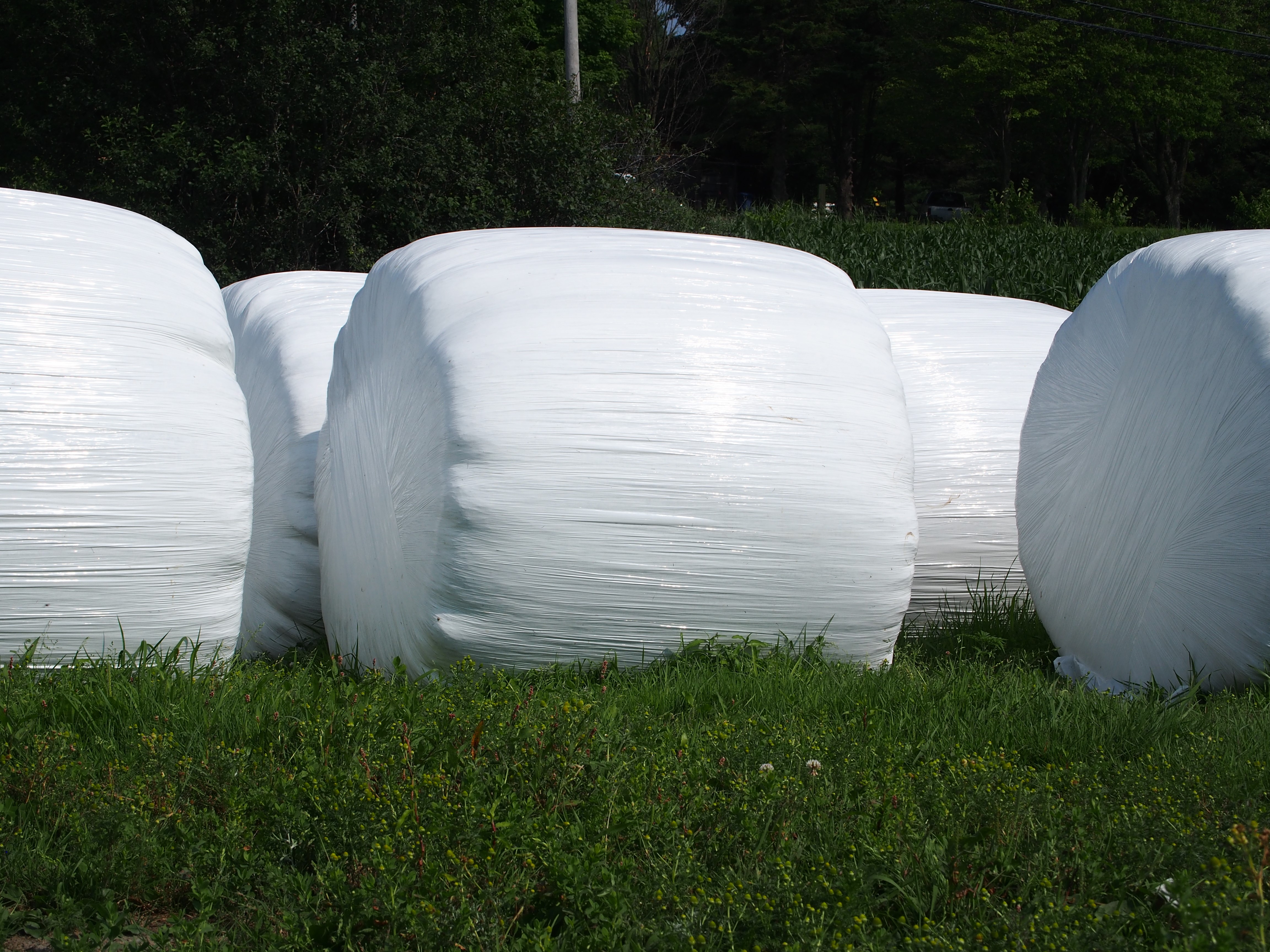 Silage balewrap_Cleanfarms photo